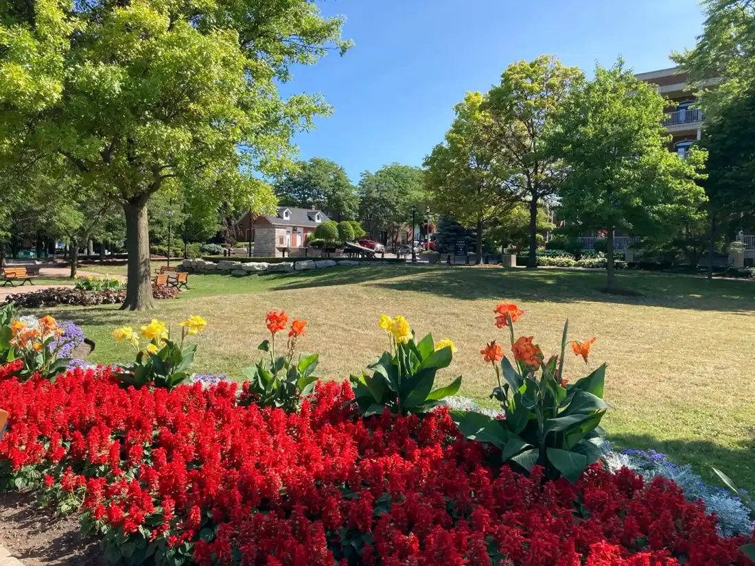 Makukulay na mga tanim ng bulaklak sa isang parke sa downtown Amherstburg