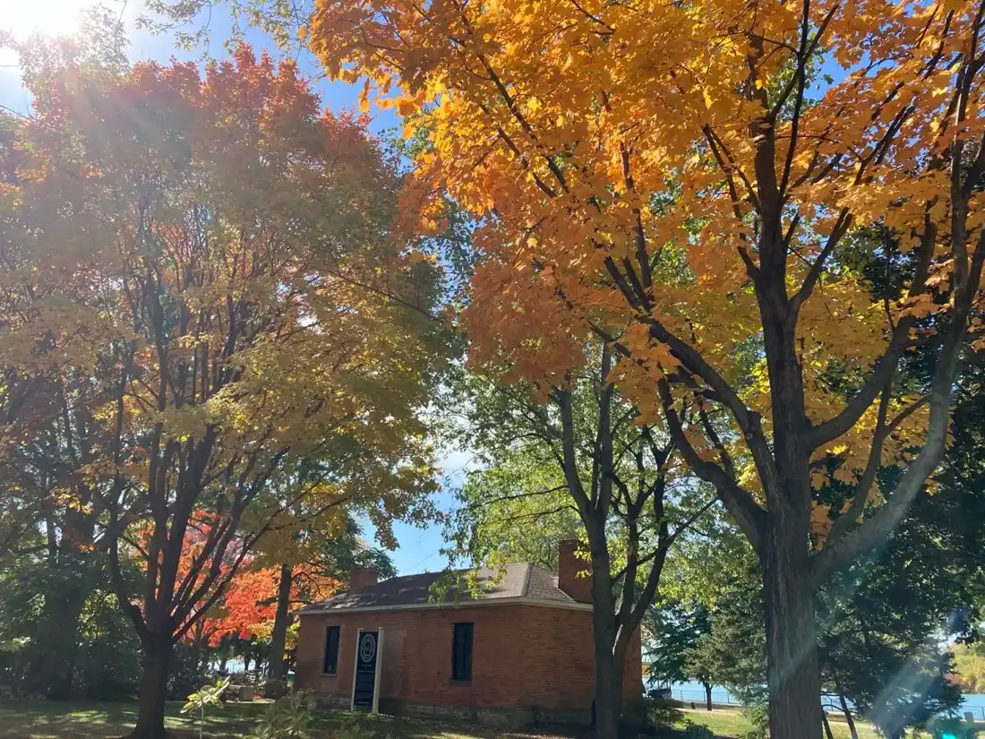 Makasyasayang lumang gusali sa ilalim ng mga orange na puno ng taglagas sa Amherstburg