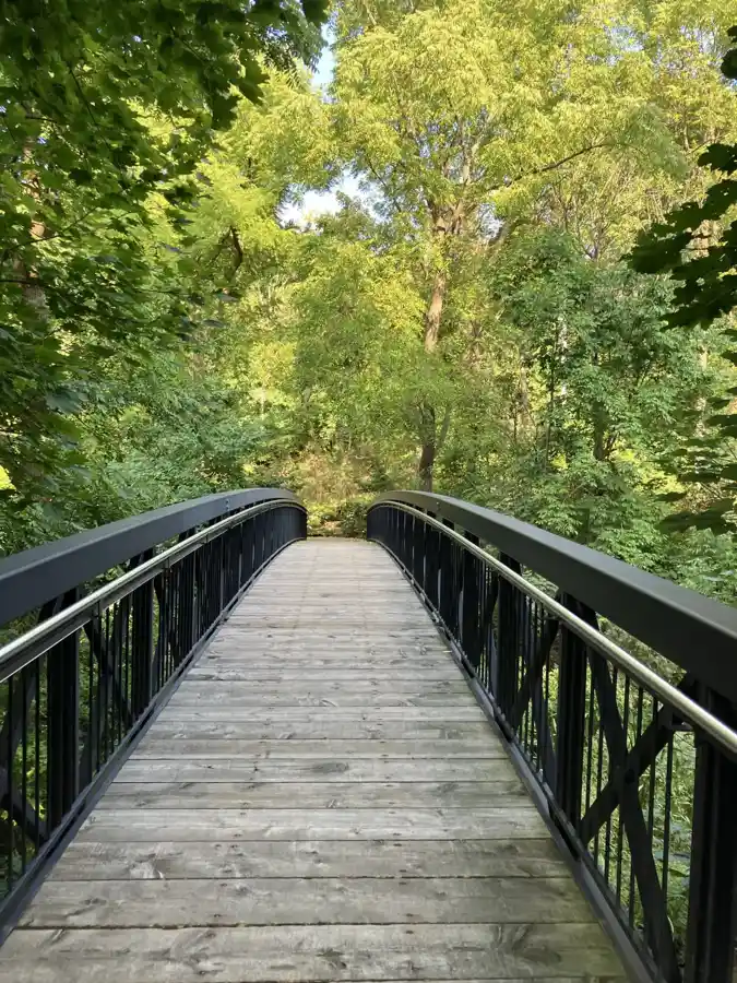 Arched footbridge on sloping woodland terrain near Ancaster Mill