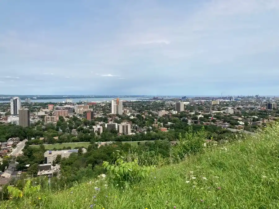 Wildflowers above Hamilton lower city at Sam Lawrence Park