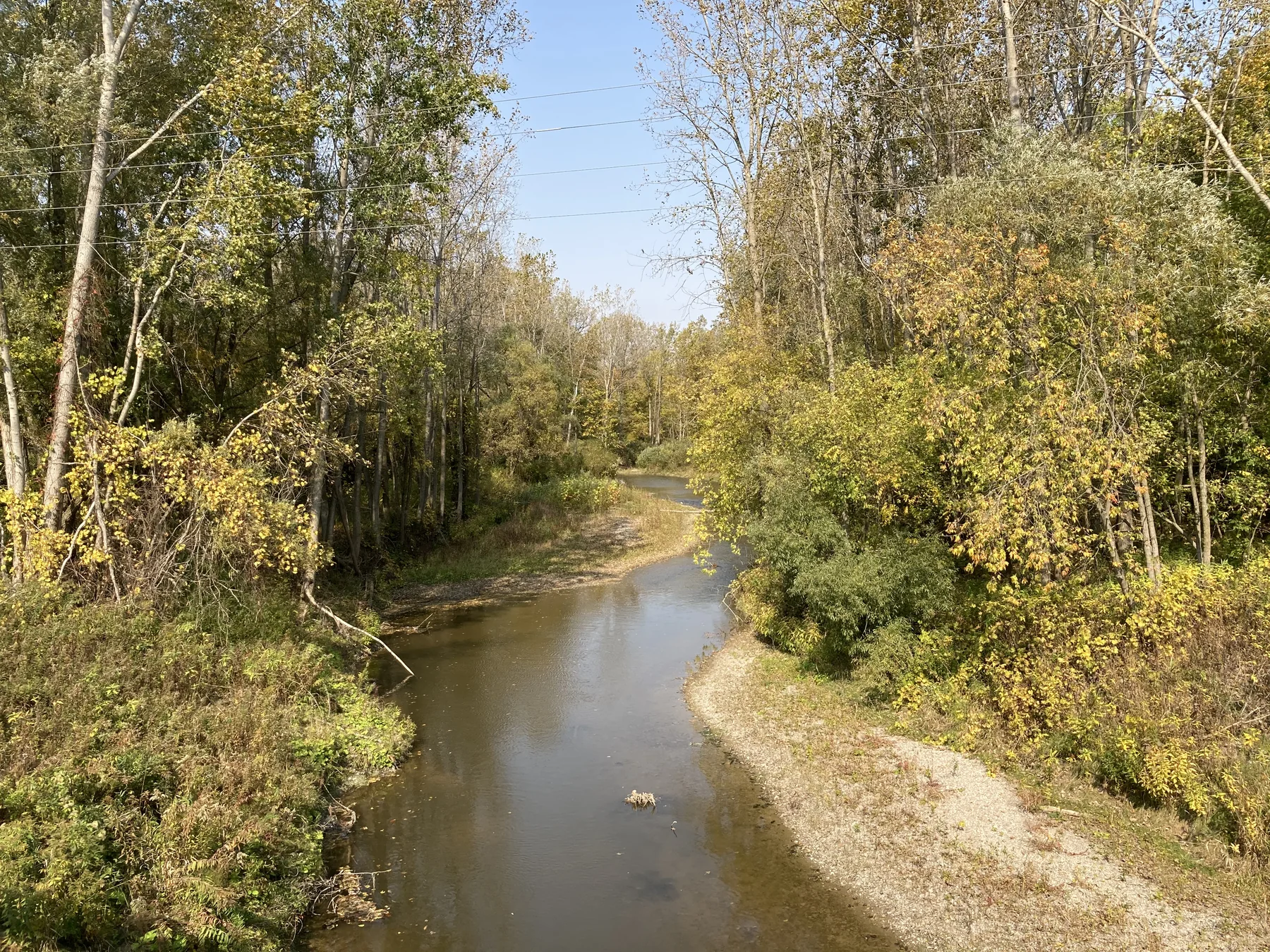 Curving creek surrounded by trees near Aylmer Ontario