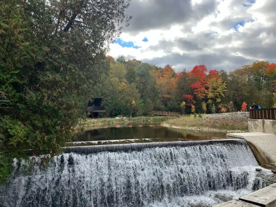 Broad Belfountain waterfall below a pond and vivid fall trees under cloudy sky