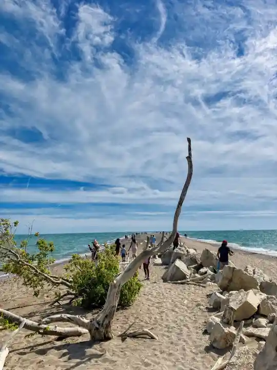 Driftwood, sand and visitors on the narrow Point Pelee Tip with Lake Erie on both sides