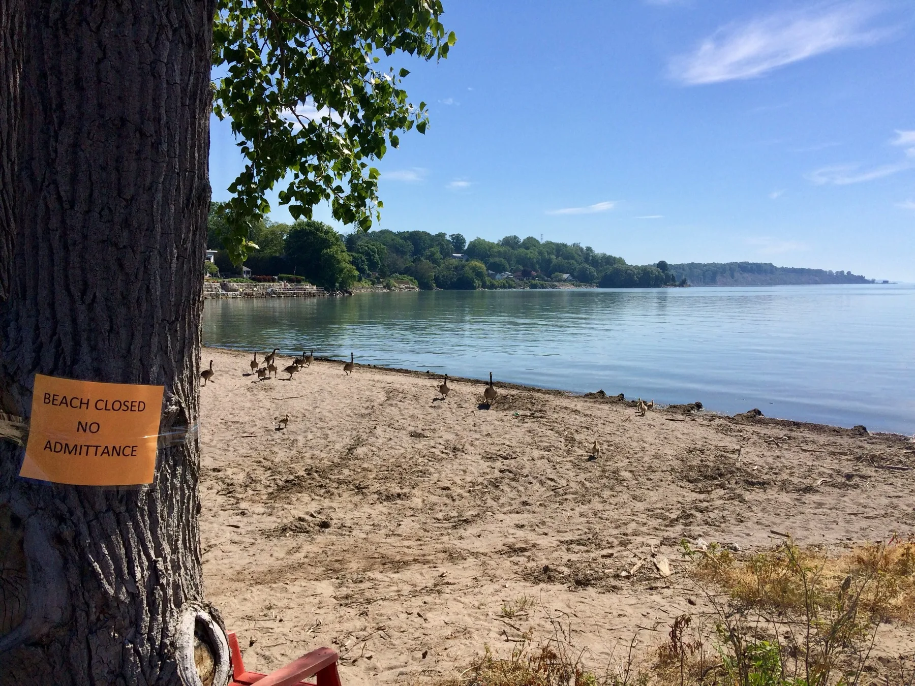 Port Stanley beach with a beach closed sign and calm water