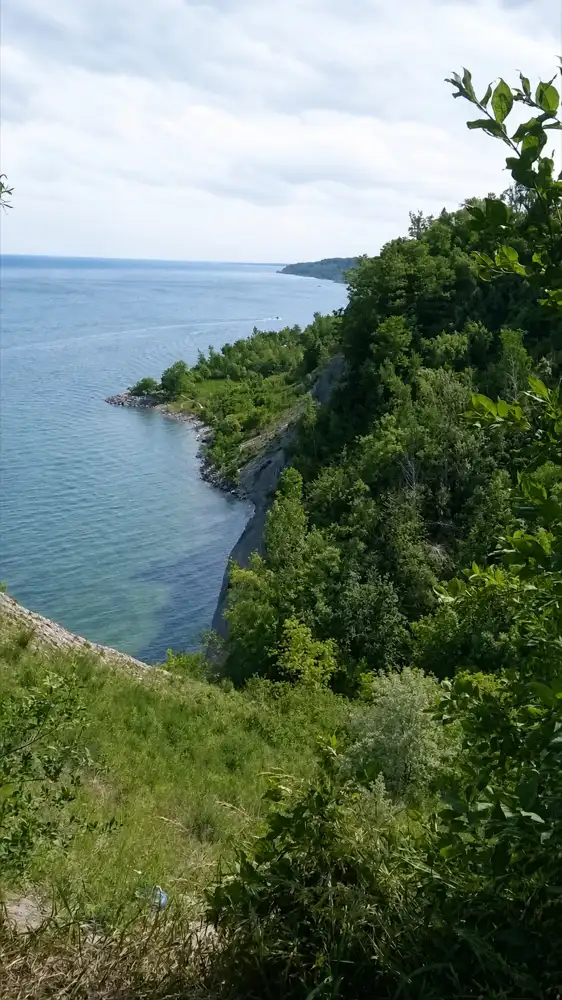 Orilla verde y Lago Ontario vistos desde la cima de Scarborough Bluffs