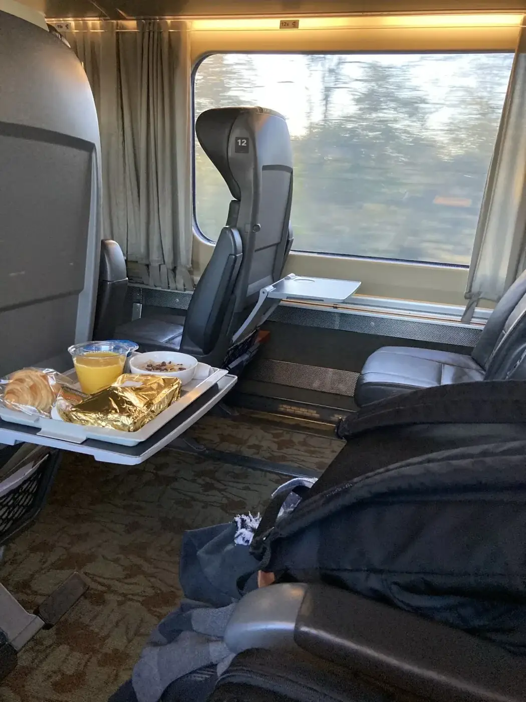 VIA Rail 商务舱：餐食、现代火车、昂贵的车票和真正的延误风险