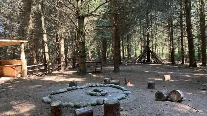 Woodland nature-program area with benches and a rustic shelter at Wildwood