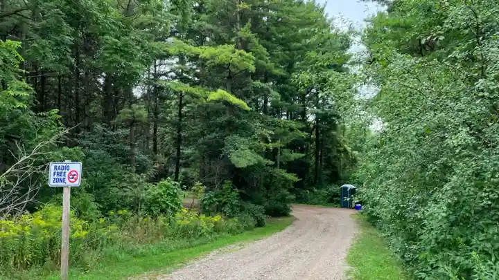 Shaded forest route in a radio-free part of Wildwood Conservation Area