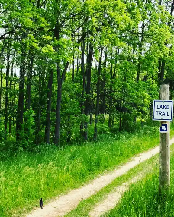 Wildwood Lake Trail sign beside a green forest path and a small black squirrel