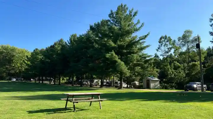 Sunny picnic lawn, campsites and volleyball area at Wildwood Conservation Area