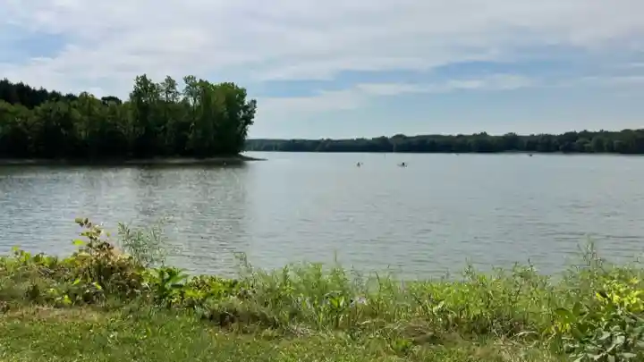 Wildwood Conservation Area: Lake, Trails & Swimming