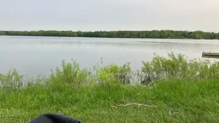 Calm Wildwood Reservoir seen from its green shoreline
